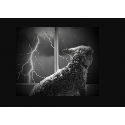 Anxiety during Thunderstorms Anxiety during Thunderstorms