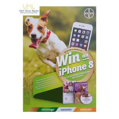 Bayer promo Nov 17 - 2018 iPhone 8